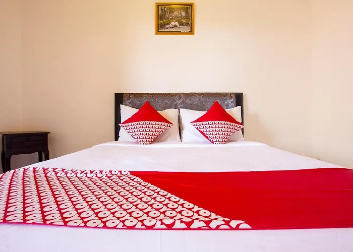 Oyo 401 The Frog Hotel Sanur